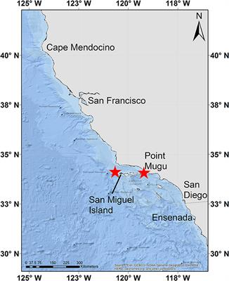 Scales of Blue and Fin Whale Feeding Behavior off California, USA, With Implications for Prey Patchiness